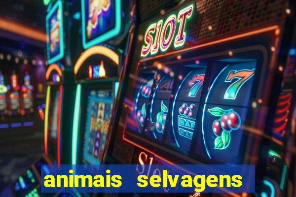 animais selvagens fotos e nomes